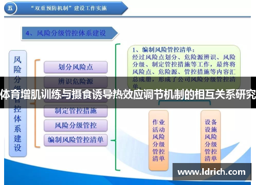 体育增肌训练与摄食诱导热效应调节机制的相互关系研究