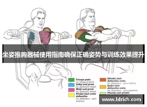 坐姿推胸器械使用指南确保正确姿势与训练效果提升