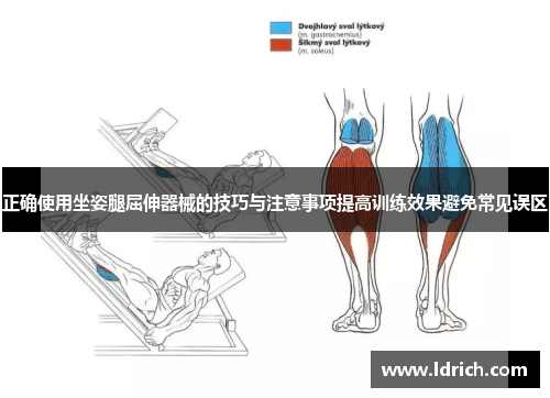 正确使用坐姿腿屈伸器械的技巧与注意事项提高训练效果避免常见误区