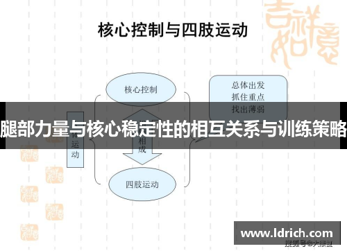 腿部力量与核心稳定性的相互关系与训练策略